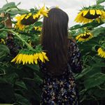 Profile Picture of Tiko Gochitashvili (@gochitashvilitiko) on Instagram