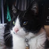 Profile Picture of Bradley Dupree (@bradley-dupree) on Quora