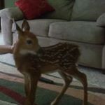Profile Picture of Matthew Weber (@matthew3502weber) on Instagram