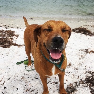Profile Picture of Jody Haring (@j_e_haring) on Twitter