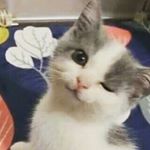 Profile Picture of Donovan Parrish (Donnabell) (@theamateur05) on Instagram