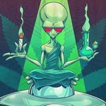 Profile Picture of Quasar Garden (@quasar_garden) on Instagram