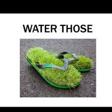 Profile Picture of Tanner Alexander (@tanner__1) on Twitter