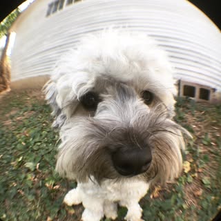 Profile Picture of Joey Percival (@josephpercival) on Instagram