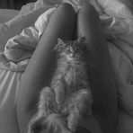 Profile Picture of Eugenia Vanneel (@Eugenia-Vanneel) on Facebook