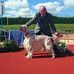Profile Picture of Brendan Carty (Berrywood Setters) (@brendan.carty.792) on Facebook