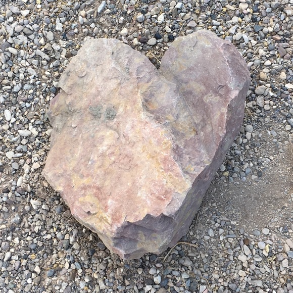 Profile Picture of Rachel Phillipps (@rachelphillipps) on Poshmark