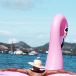 Profile Picture of Jonathan Allen (@theprinceofsodapop) on Instagram