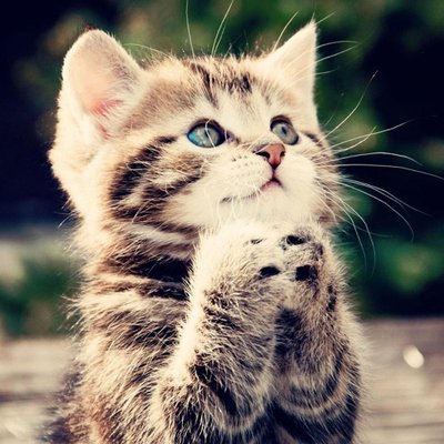 Profile Picture of Ivan Garzon (@ivangarzon1235) on Twitter