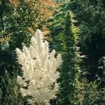 Juliano Stephen - Facebook Profile Picture of Juliano Stephen (@Juliano-Stephen) on Facebook