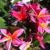 Profile Picture of Joyce Hebert (@joyce.hebert.100) on Facebook