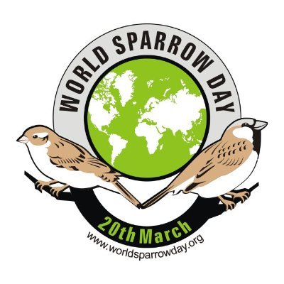 Profile Picture of SparrowMan (@MohammedDilawar) on Twitter