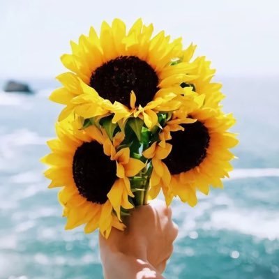 Profile Picture of Kim Hoa Lieu (@kimhoalieu1) on Twitter