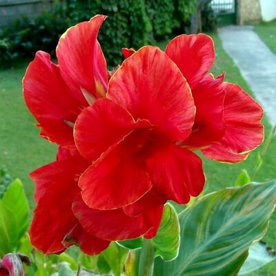 Profile Picture of Gemma Valls (@gemmavalls) on Twitter