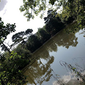 Profile Picture of Ellie Placzek (@ellieplaczek8713) on Youtube