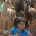 Profile Picture of Bethzaida Jimenez (@bethzaidaj1) on Pinterest