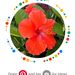 Profile Picture of Stephanie Labrecque (@angel83sm) on Pinterest