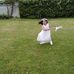 Profile Picture of Vivienne Campbell (@vivienne.campbell.148) on Facebook