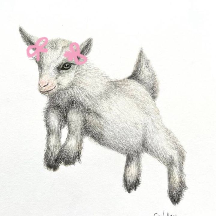 Profile Picture of seal (@clayoftheseals) on Tiktok