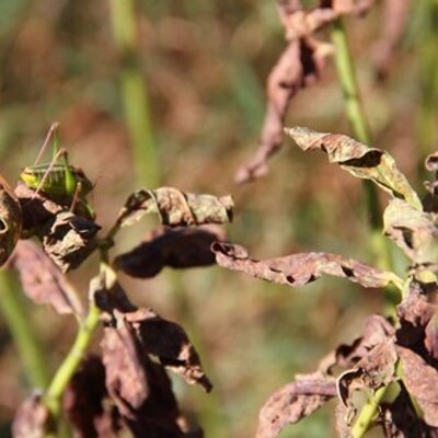 Profile Picture of Higgins (@N__gin) on Twitter