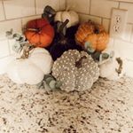 Profile Picture of Danielle Lyttle (@lyttled2015) on Instagram