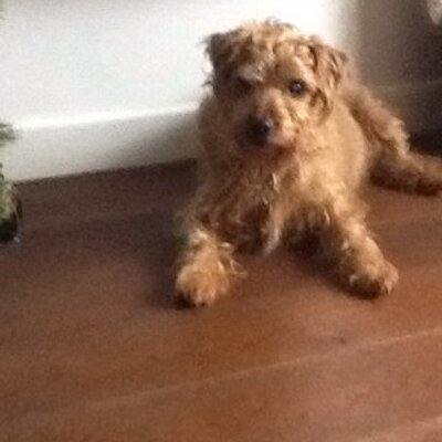 Profile Picture of James Strong (@jds57) on Twitter