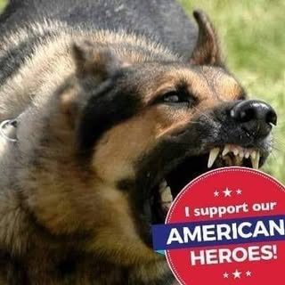 Profile Picture of Eddie Wingender (@wingendereddie) on Instagram