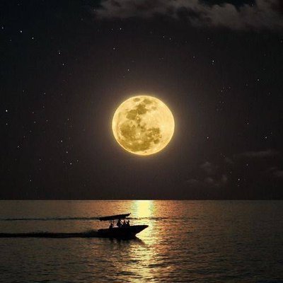 Profile Picture of Good_at_discovering (@ZhengJiaQu1) on Twitter