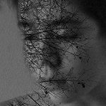 Profile Picture of evanray (@evanray) on Flickr