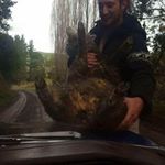 Profile Picture of Lachlan James Kitt (@lachlankitt) on Instagram