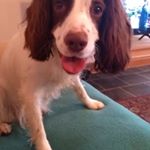 Profile Picture of Sean hullock (@seanhullock) on Instagram