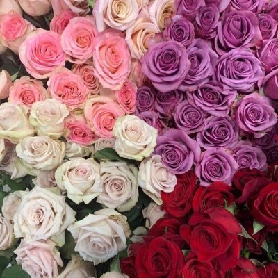 Profile Picture of Jonesmith (@jonesmi32513277) on Twitter