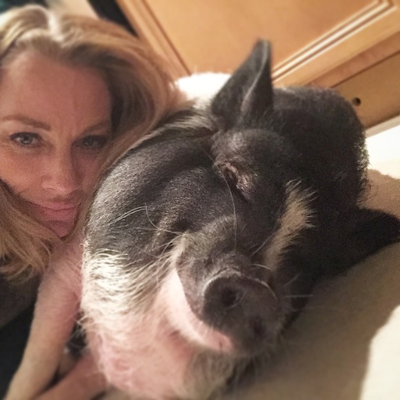 Kerrie Stumpf - Poshmark Profile Picture of Kerrie Stumpf (@stumpf) on Poshmark