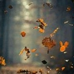 Profile Picture of Waseem Issa (@wassem_issa) on Instagram