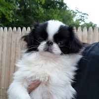 Profile Picture of Jean Kennedy-jameson (@jean-kennedy-jameson) on Quora