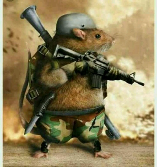 Profile Picture of Daniella Okolie (@daniellaify) on Poshmark