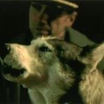 Profile Picture of Marc Fréchette (@marctpp) on Instagram