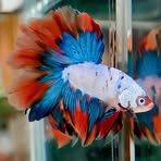 Profile Picture of Ryan Broadhead (@Ryan-Broadhead) on Facebook