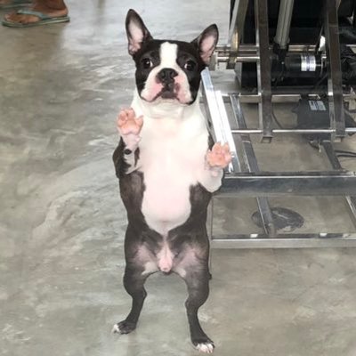 Profile Picture of Mia Chou (@Mia_wanC) on Twitter