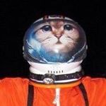 Profile Picture of Matthew Todd Welte (@tihs_cat) on Instagram