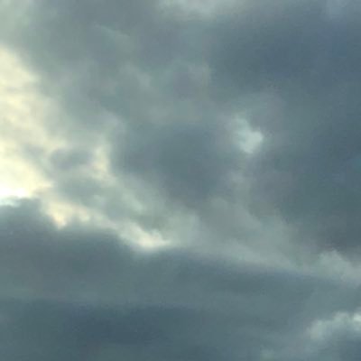 Profile Picture of Alice Rodrigo (@rodrigo_alice) on Twitter