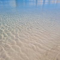 Profile Picture of Craig Pickard (@craig-pickard-7) on Quora