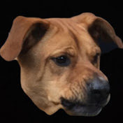 Profile Picture of Sam Harrington (@SamHarrington929) on Youtube