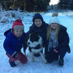 Profile Picture of Mark Woodside (@mark.woodside) on Tiktok