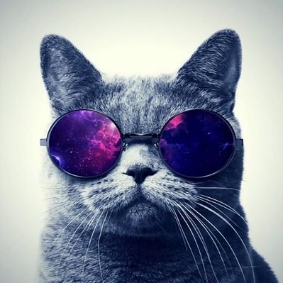 Profile Picture of Patrick Felix (@patrickfelix19) on Twitter
