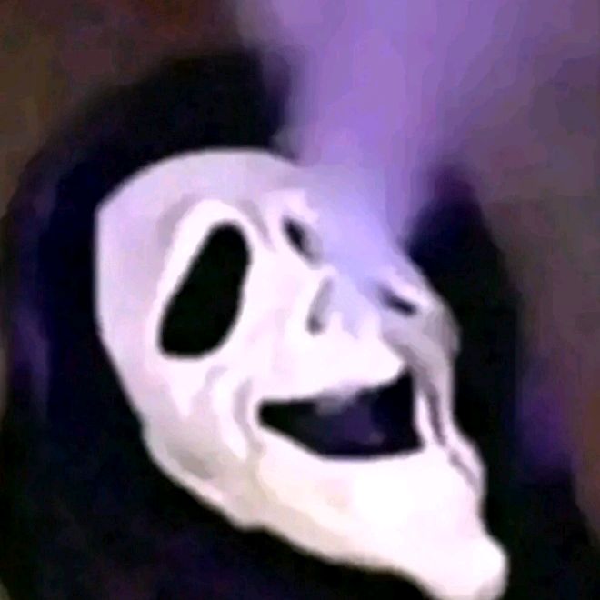 Profile Picture of Fabri_Fischer (@fabri_fischer) on Tiktok