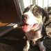 Profile Picture of Brandon Rutledge (@brandon.rutledge.9655) on Facebook