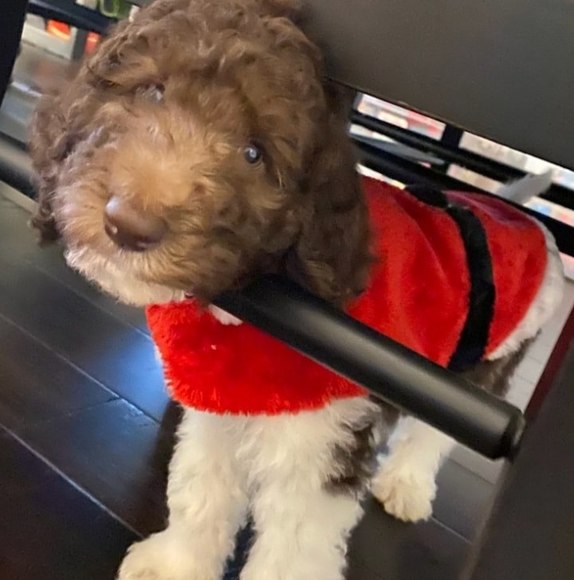 Profile Picture of Hazel Parker (@znaze) on Poshmark