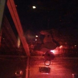 Profile Picture of Kyle Meriweather (@kyle.meriweather.9) on Facebook