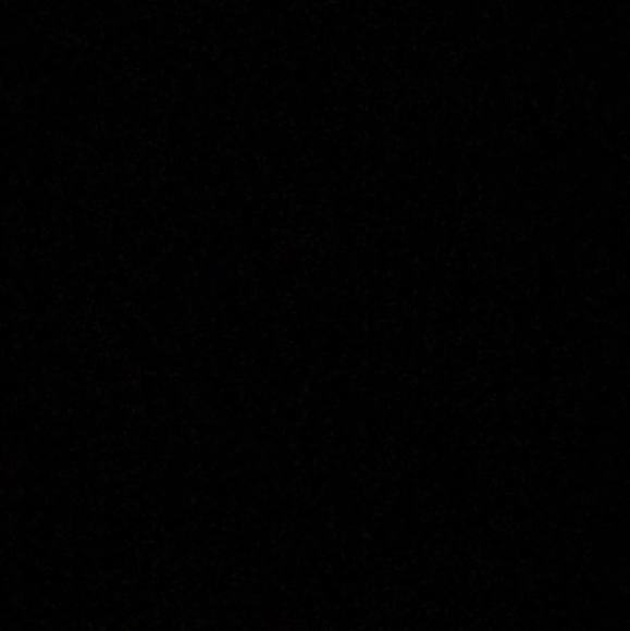 Profile Picture of Lori Pankau (@ballingr67) on Poshmark